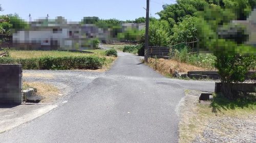 前面道路（1号地）